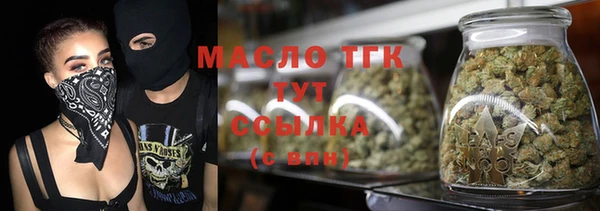молекула духа Ельня