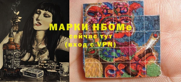молекула духа Ельня