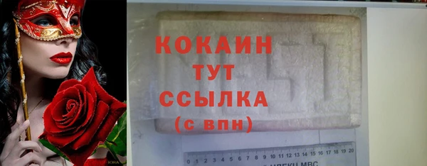 молекула духа Ельня
