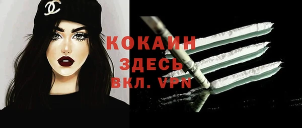 молекула духа Ельня
