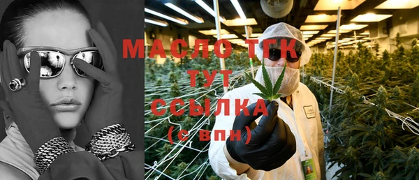 молекула духа Ельня