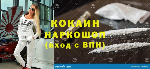 молекула духа Ельня