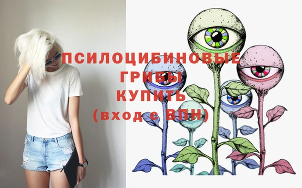 молекула духа Ельня