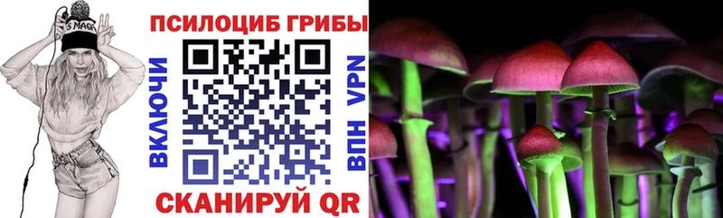 Купить закладки  Ковдор  Псилоцибиновые грибы ЛСД 